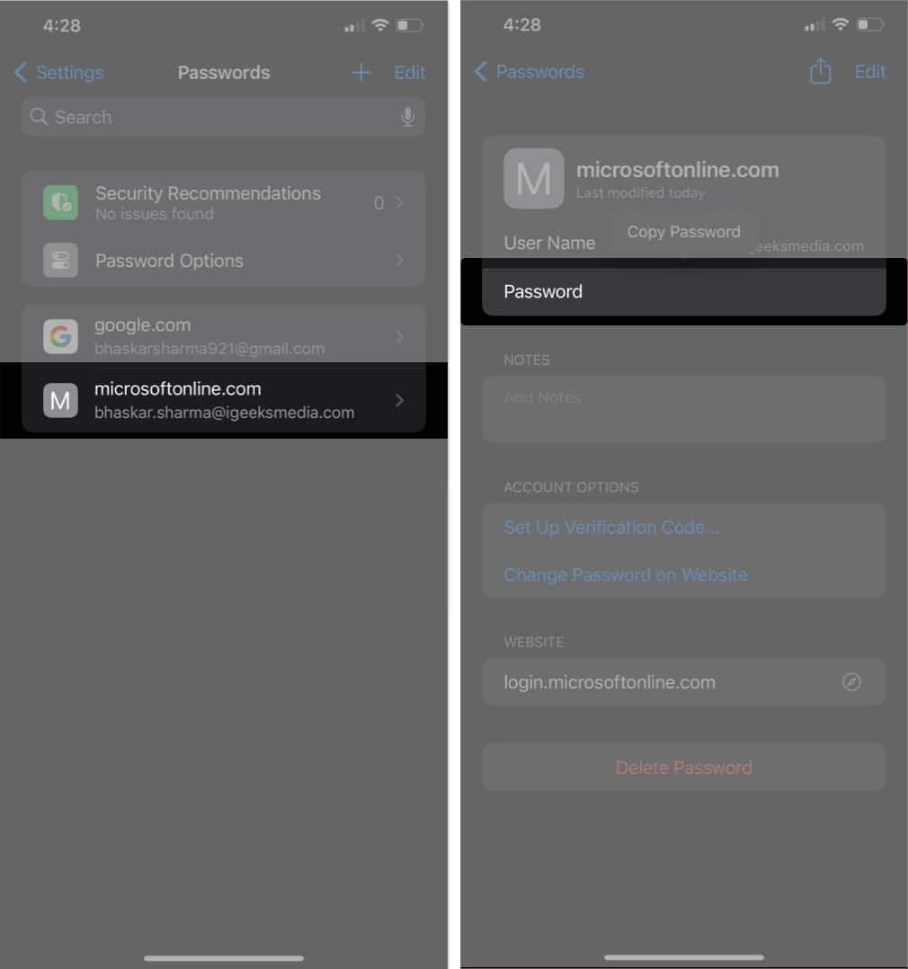 Encontrar una contraseña guardada en la aplicación de configuración de iOS