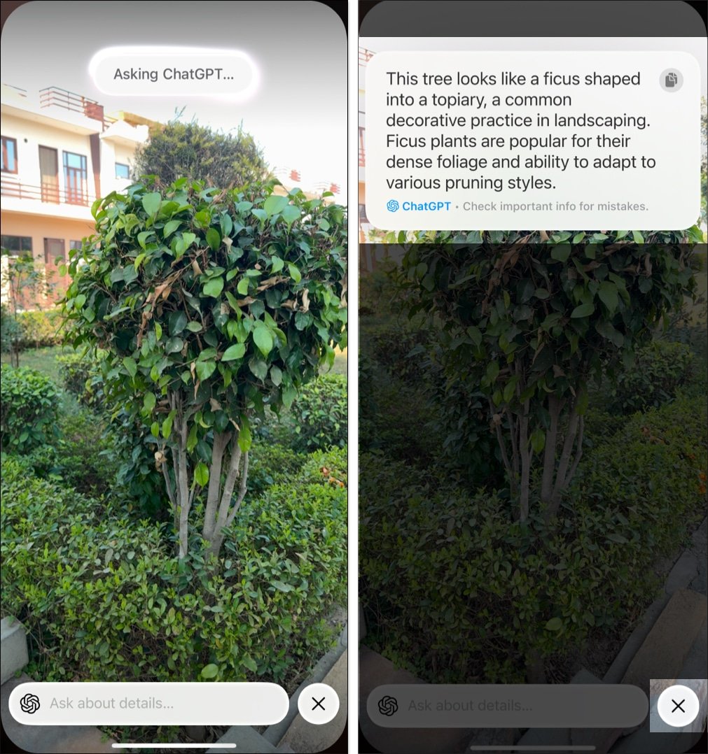 Obtener información sobre un árbol con la integración ChatGTP de Visual Intelligences en un iPhone 16