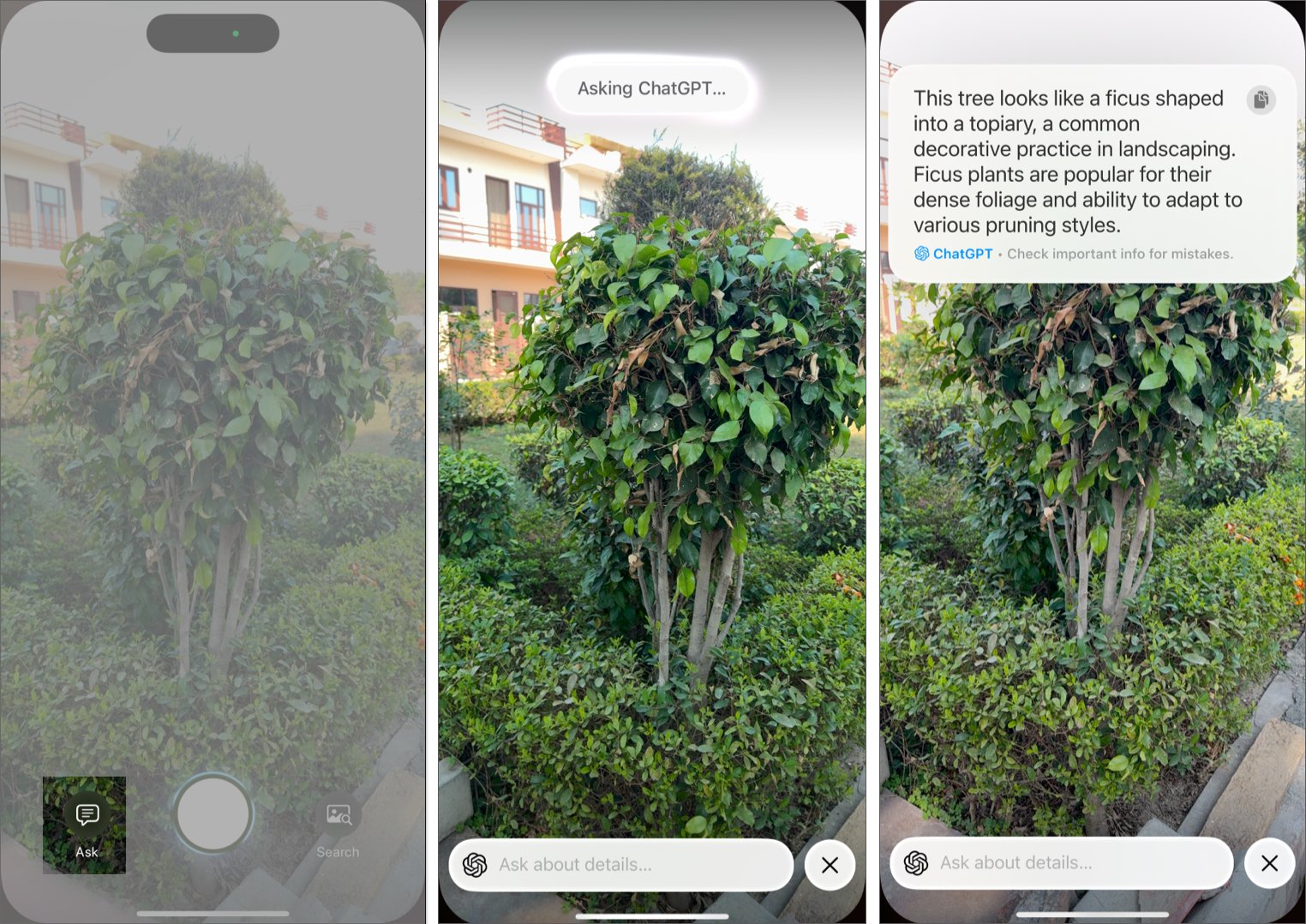 Usando ChatGPT con Visual Intelligence para identificar una planta en un iPhone