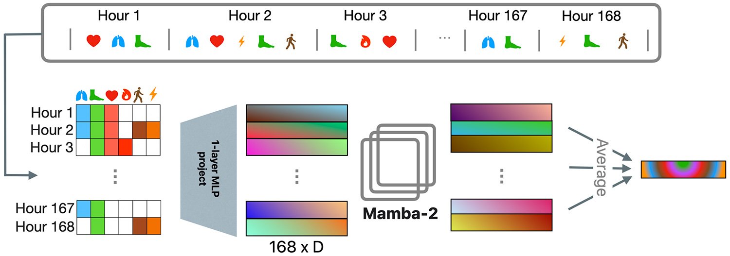 Apple Watchs New Ai predice su salud con 92 Igeeksblog de precisión Datos de WBM de salud