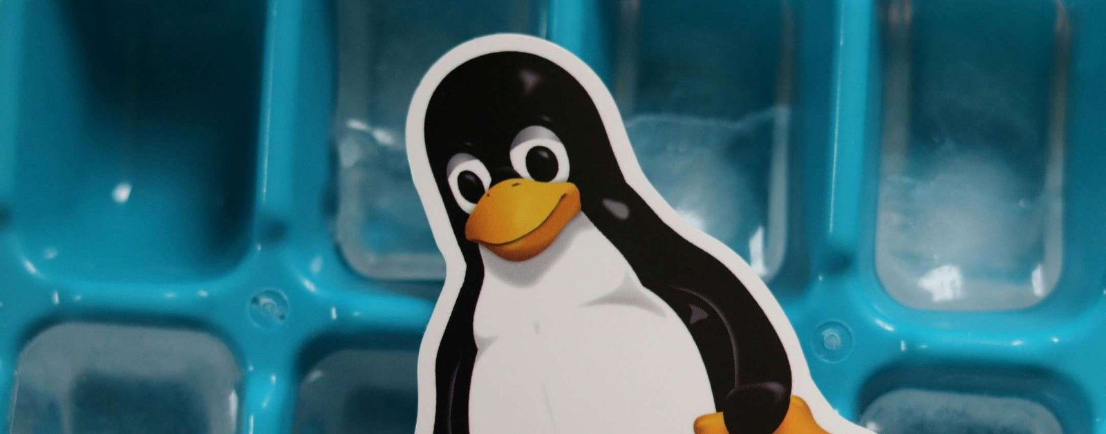 Linux-4.jpg