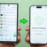 Cómo transferir WhatsApp de Android a iPhone (guía 2024)