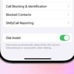 ¿Qué es la asistencia del dial y cómo usarla en su iPhone?